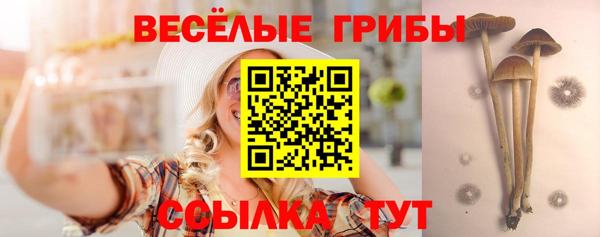 Северск  Галлюциногенные грибы Magic Shrooms  Вход с VPN 